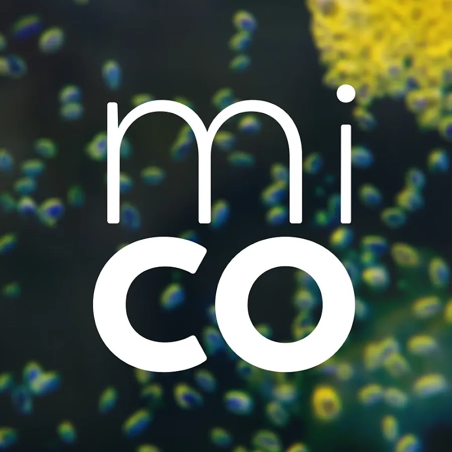 Journey to the Microcosmos